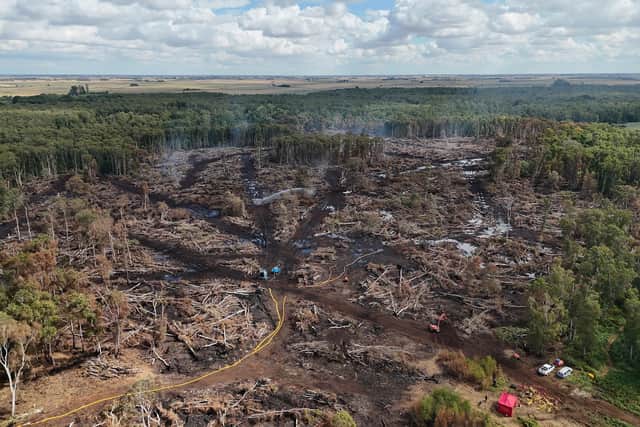 Firefighters tackle a fire at a Nature Reserve earlier this year. PIC: PA