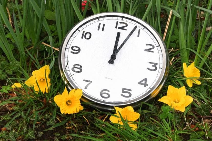 The physiological dangers of Daylight Saving Time and what people can do ...