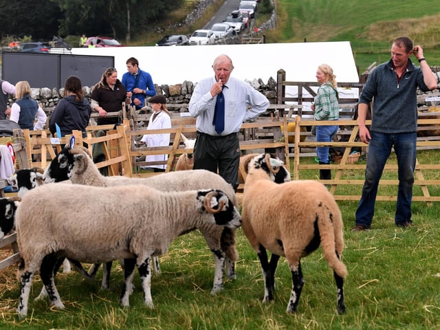 Malham Show 2026