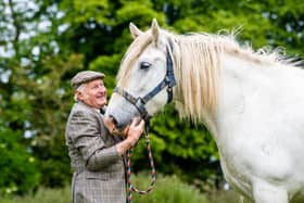 Francis Richardson, 77, of Bewholme Hall Farm, Bewholme, near Beverley, East Yorkshire, a farmer and Shire Hores breeder, who has recently received an honour from the Shire Society for his lifelong involvement in the breed. Pictured Francis, hold one of their mares Brewholme Blue Smoke.