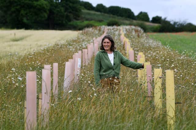 Dr Hannah Fraser at her organic arable farm.