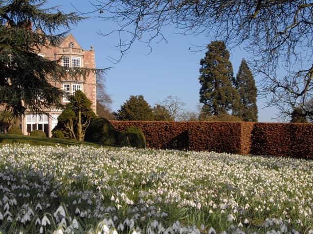 Visitors can enjoy access to the grounds of this private former Royal residence, taking in carpets of snowdrops, delicate hellebores and winter aconites.