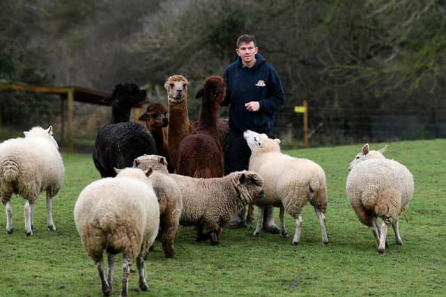 Jake Ratcliffe pictured with the animals