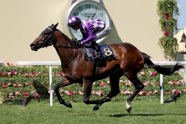 Oisin Murphy riding Shaquille wins The Commonwealth Cup on day four of Royal Ascot 2023 (Picture: Tom Dulat/Getty Images for Ascot Racecourse)