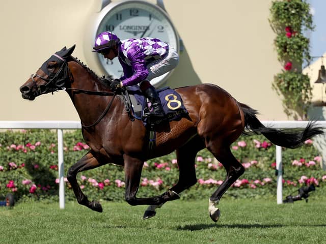 Oisin Murphy riding Shaquille wins The Commonwealth Cup on day four of Royal Ascot 2023 (Picture: Tom Dulat/Getty Images for Ascot Racecourse)