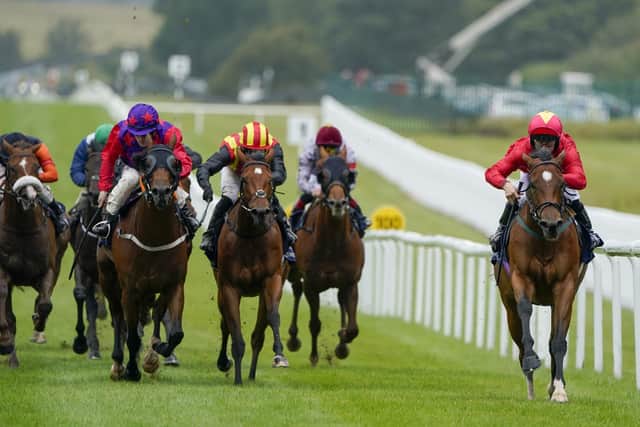 Speed Queen: Highfield Princess won three Group Ones in five weeks in a memorable summer of 2022 and is pictured, far right, on her way to wining the third leg of the hat-trick,  The Al Basti Equiworld, Dubai Flying Five Stakes at the Curragh in Ireland. (Photo by Alan Crowhurst/Getty Images)
