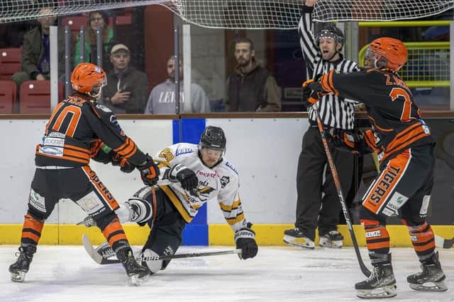 TAKE THAT: Chris Wilcox battles for puck possession against Telford Tigers last Sunday. Picture courtesy of Adam Everitt/Seahawks Media.