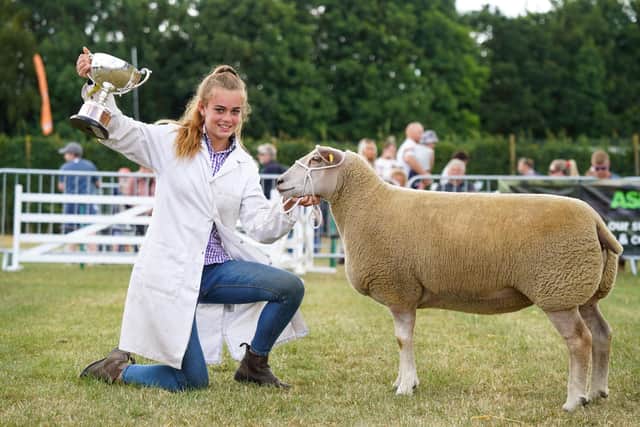 Last year's Overall Sheep Supreme Champion British Charolais from Melton Mowbray with handler Grace Sercombe.