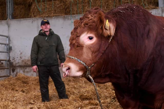 Clive Rowland pictured with his cattle at Garrowby Farm, Garrowby Estate, York