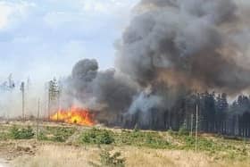 Langdale Moor fire
