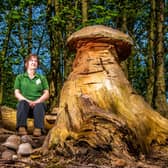 Linda Walsh, a Part-time Grounds & Garden member at Harewood House, collects fallen Spalted Beech from the estate and makes Spalted Beech Wood Turned Mushrooms. Linda, replants untreated turned mushrooms in the Sylvascope woodland area on the estate for visitors to see and her finished items are sold in the farm shop. Picture By Yorkshire Post Photographer,  James Hardisty.