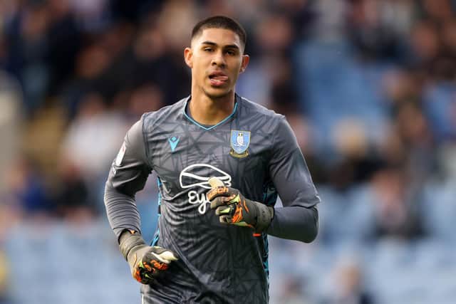 Sheffield Wednesday goalkeeper Devis Vasquez kept the score down against Ipswich Town (Picture: George Wood/Getty Images)