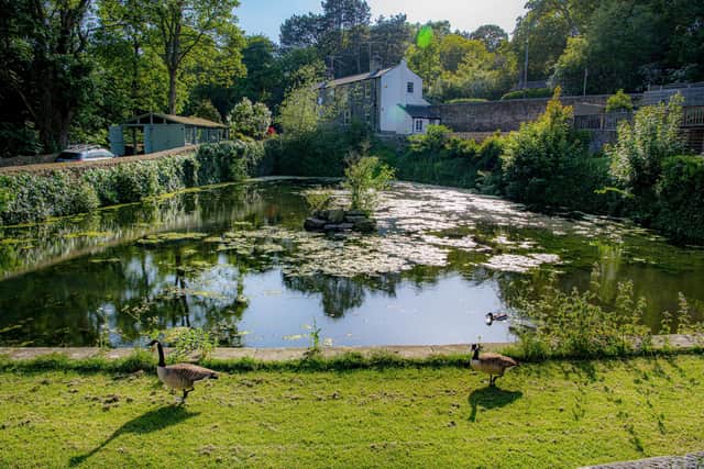 The mill pond by Nortonthorpe Mills in Scissett in West Yorkshire photographed by Tony Johnson for The Yorkshire Post.
