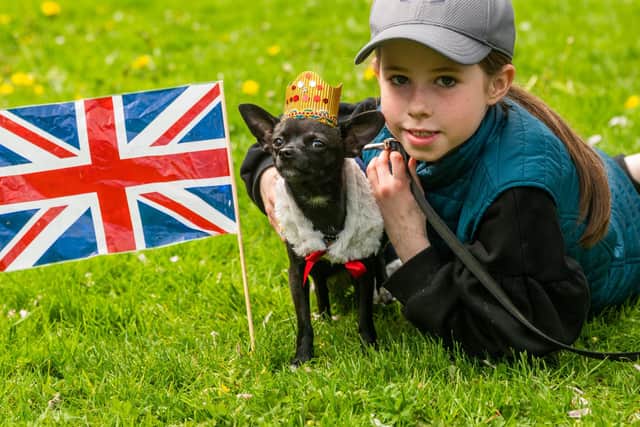 Easingwold Coronation Celebration Day, held in the Market Place, Easingwold, North Yorkshire. Pictured Edith Strangeway, aged 9, of Stillington, with 9 month old Rosie, a Chihuahua, winner of the Easingwold Coronation Dog Show. Picture By Yorkshire Post Photographer,  James Hardisty. Date: 7th May 2023.