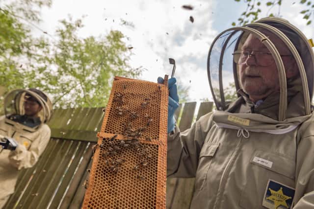 Bill Cadmore beekeeper
by Bevan Cockerill