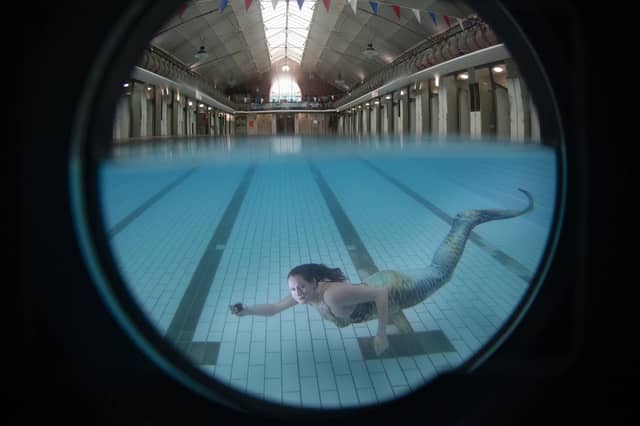 Yorkie Rippa Mermaid Bramley Mermaids: How a group of Yorkshire women are helping ...