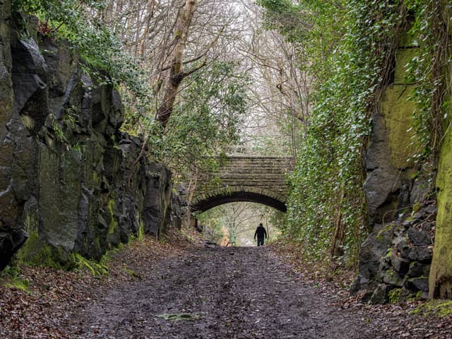 Calverley Cutting in Calverley Woods. It was formed to lead to a development of luxury houses in the 1850s but the project never materialised. Photographed for The Yorkshire Post by Tony Johnson.