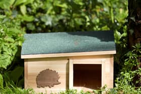 A hedgehog house from Gardenesque.com