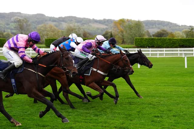 Kingofthefrontier provided the biggest success to date in the career of fledgling trainer John Dawson.