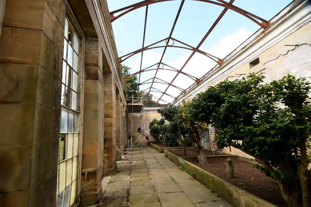 The Camellia House, at Wentworth Woodhouse has been renovated