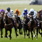 Wayne Lordan riding True Love (orange/blue) win The Betfred 1000 Guineas Stakes at Newmarket Racecourse on May 03, 2026 in Newmarket, England, with Yorkshire horses Venetian Lace (grey) and Evolutionist (white) in the background. (Picture: Getty Images)