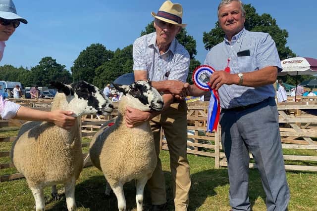 Sheep show competitors at the event. (Pic credit: Ripley Show)