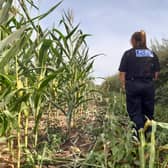 Nine police forces have joined together in one of the biggest rural crime crackdowns of its kind in the UK in a joint strike against cross-border poachers.