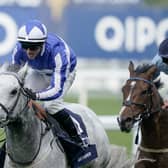 Double delight: Jockey David Allan and the grey Art Power on their way to winning their first Group One race at Ascot last October race at the Saudi Cup meeting in Riyadh today. (Photo by Alan Crowhurst/Getty Images)