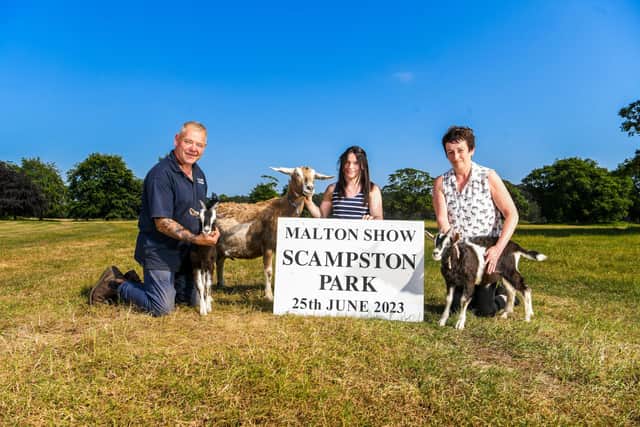 Malton Show held at Scampston Park. (Pic credit: James Hardisty)