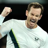 PROUD MOMENT: Andy Murray celebrates winning match point in his round one singles match against Matteo Berrettini oat the Australian Open Picture: Clive Brunskill/Getty Images