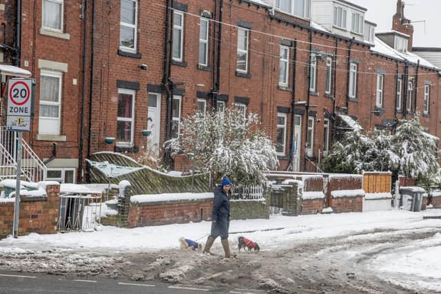 A dog walker in Beeston, Leeds after heavy snowfall hit Yorkshire. (Pic credit: Tony Johnson)