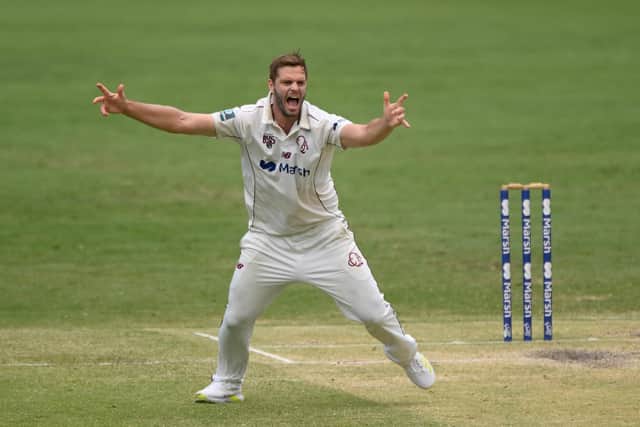 Mark Steketee of Queensland unsuccessfully appeals for the wicket of Liam Scott of South Australia during the Sheffield Shield match between Queensland and South Australia at The Gabba, on March 04, 2023, in Brisbane (Picture: Matt Roberts/Getty Images)