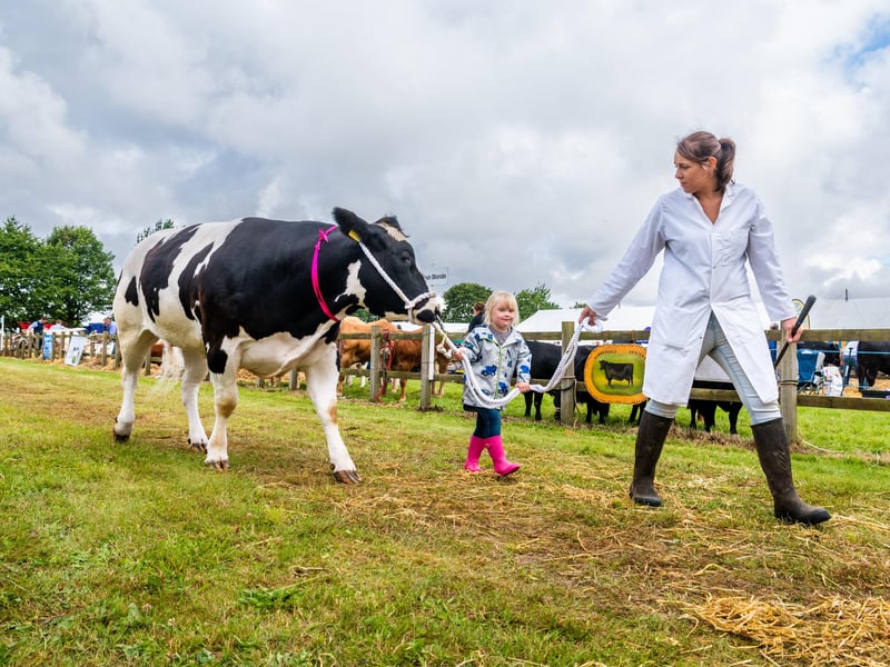 Beb Sixsmith and daughter Phoebe, of Sherburn, in the show ring