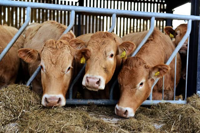 A five-year long research programme commissioned by AHDB and led by the University of Nottingham will play an important role in helping to achieve a more sustainable future for the dairy industry.