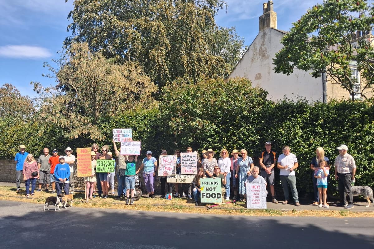 Protest held over chicken factory farm plans near Ripon