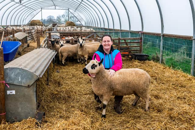 Anna Wilson, of Searchlight Farm, Nunthorpe near Stokesley, with her Kerry Hill sheep.