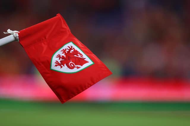 Crew has already shone at under-17 level for Wales. Image: Catherine Ivill/Getty Images