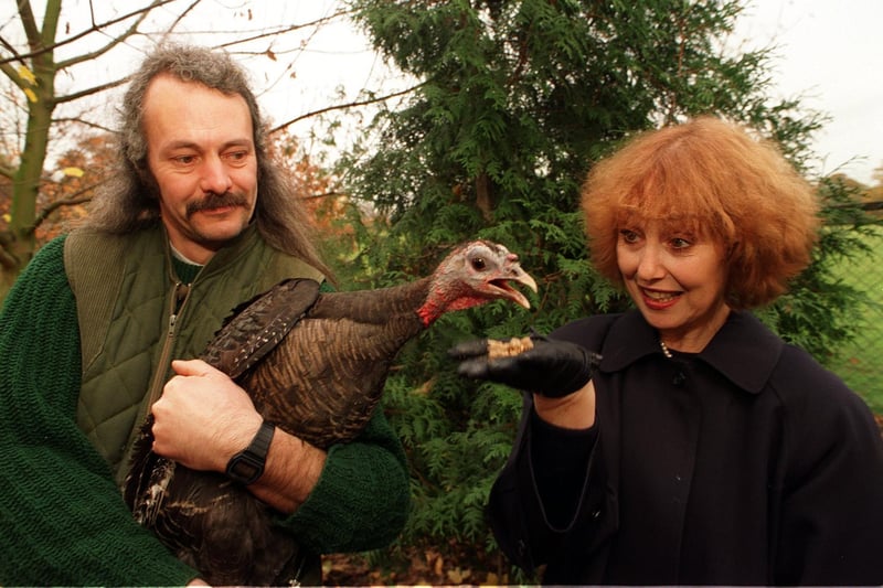 Una Stubbs gets close to a North American Tukrkey held by keeper Peter Stubbs at Harewood House