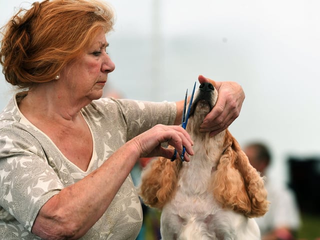 Angela Hackett with her cocker spaniel
