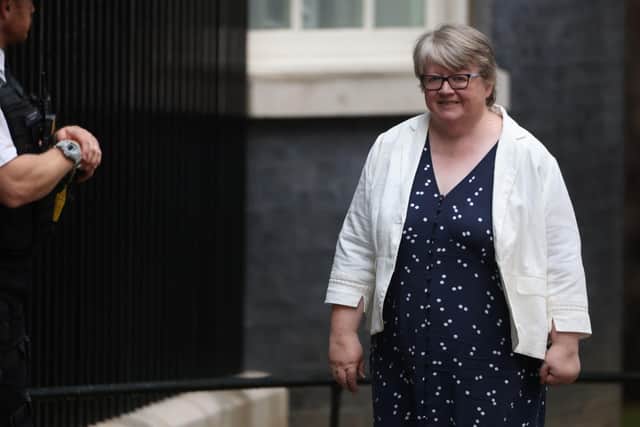 Therese Coffey is the Environment Secretary. PIC: James Manning/PA Wire