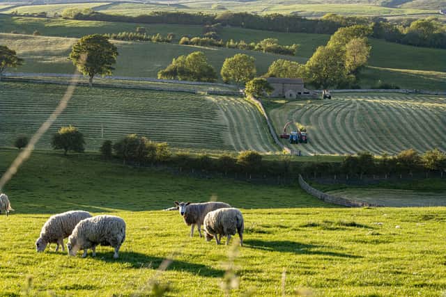 Farmers working at Wensleydale near Bainbridge. New technology and ways of working are being embraced by farmers, says a council leader who believes devolution will aid the agriculture economy.