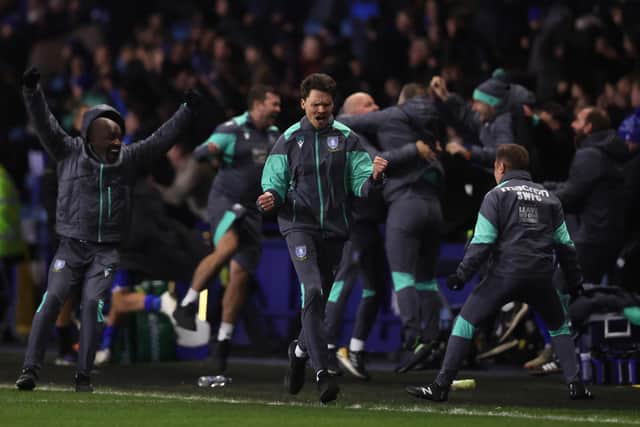 Sheffield Wednesday boss Danny Rohl celebrates after Anthony Musaba scores the winner in the Championship game against Queens Park Rangers last month. Photo: Nathan Stirk/Getty Images.