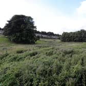 Proposed housing site on land between Lady Ann Road and Primrose Hill, Soothill, Batley