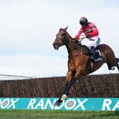 BIG TIME: Lucinda Russell has confirmed stable star Ahoy Senor will take on the big guns once more in the Ladbrokes King George VI Chase at Kempton on Boxing Day. Picture: Tim Goode/PA.