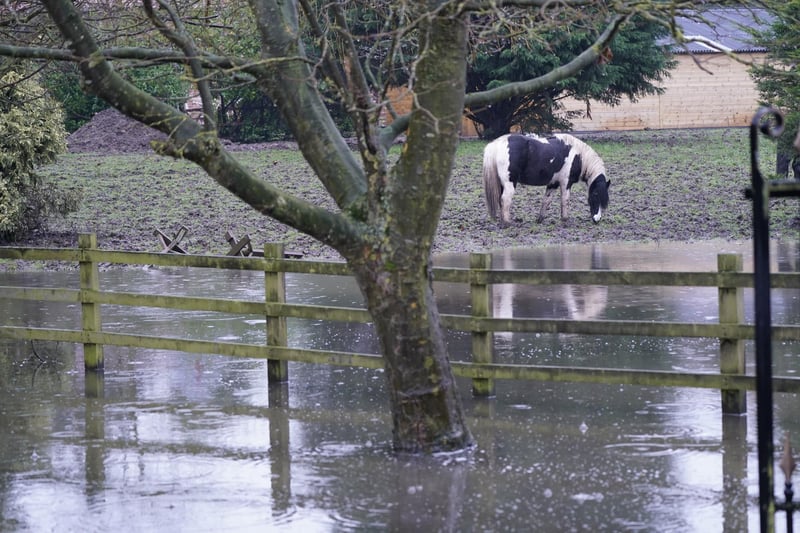 A horse stands next to floodwaters, near Watton, Yorkshire.