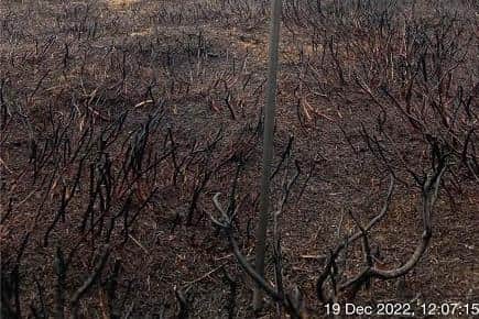 Damage to Midhope Moors after the fire