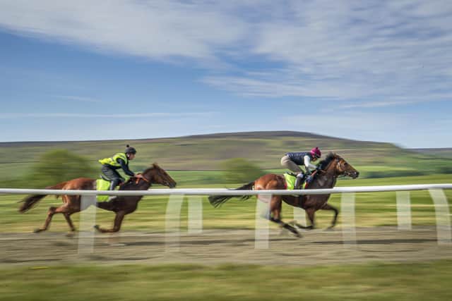 Racehorses can enjoy a busy career after racing with the work or organisations such as Retraining of Racehorses.
Danny Lawson/PA Wire.