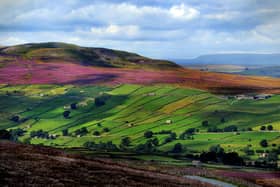 The Yorkshire Dales is famous for its man-made patchwork of dry stone walls. (Pic credit: James Hardisty)