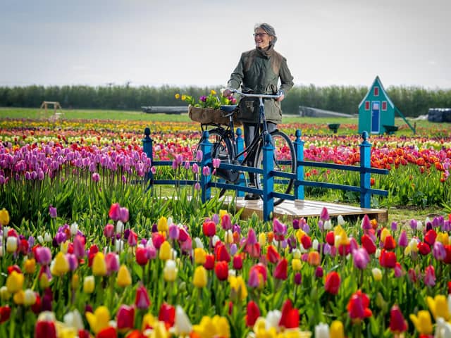 Sally Spilman at Spilmans near Thirsk. Photograph by Tony Johnson.