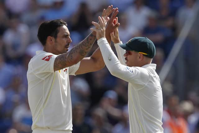 Mitchell Johnson and David Warner celebrate an English wicket during the 2015 Ashes series. Photo by Ian Kington/AFP via Getty Images.